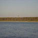 DSC00192