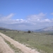 DSC01477